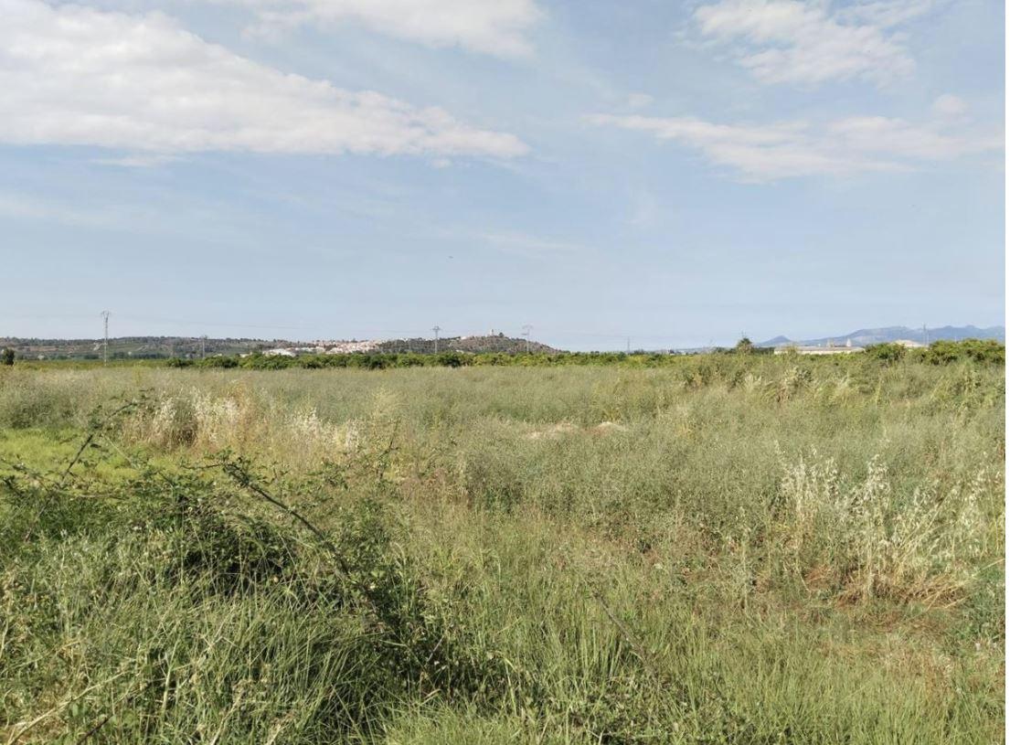Terreno en venta en Valencia