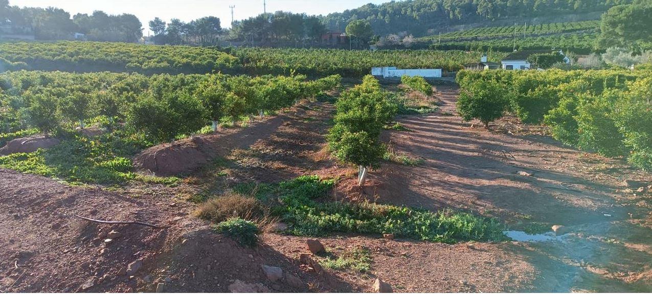 Terreno en venta en Valencia