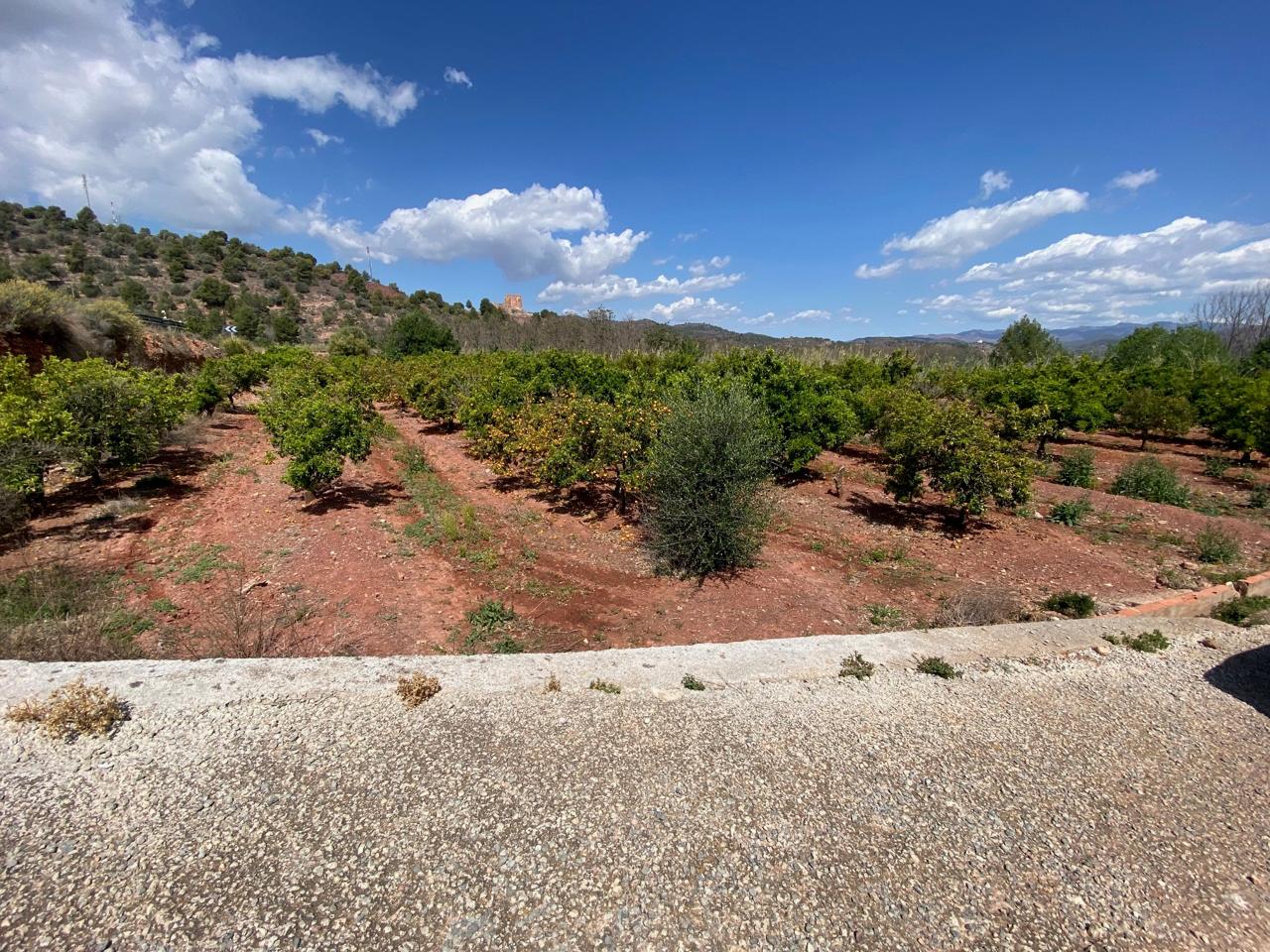 Terreno en venta en Valencia