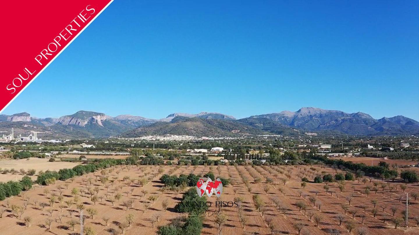 Terreno en Diseminado Poligono 1, Parcela 24, Inca, Illes Balears de 124812 m2