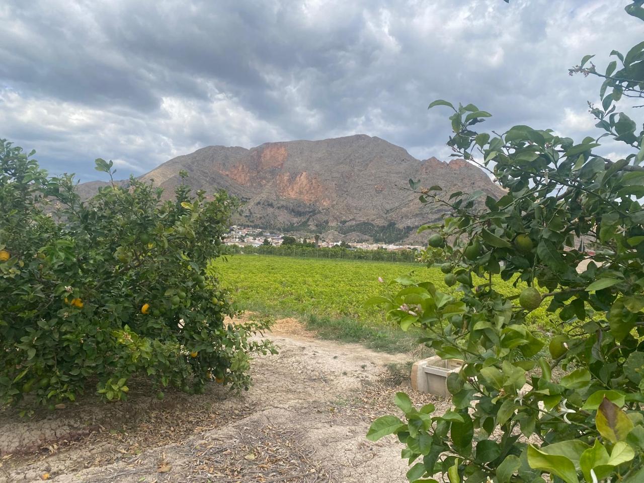Terreno en Senda Masquefa, Orihuela, Alicante de 5107 m2