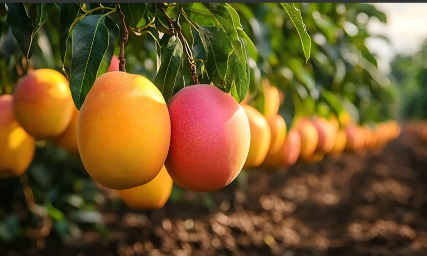 Terreno en Málaga, Málaga de 360000 m2