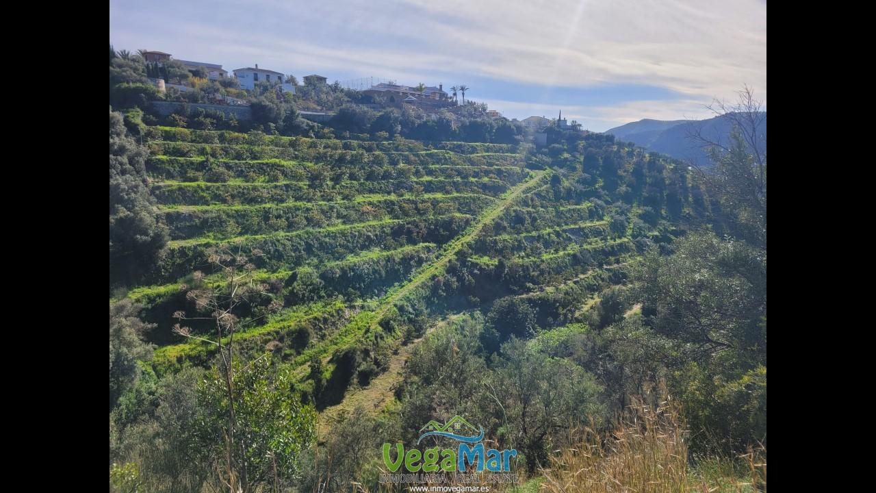Terreno en venta en Granada