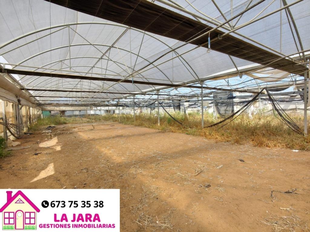 Terreno en venta en Cádiz