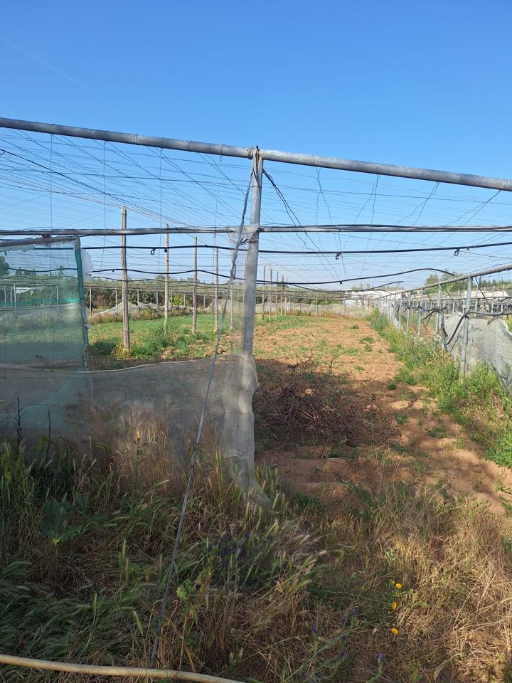 Terreno en venta en Sevilla