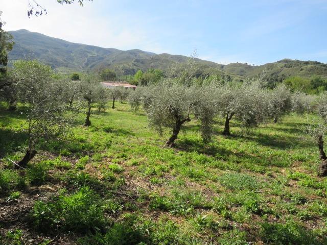 Terreno en Calle Cenes de la Vega, Cenes de la Vega, Granada de 2060 m2