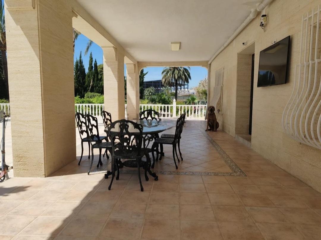 Picture