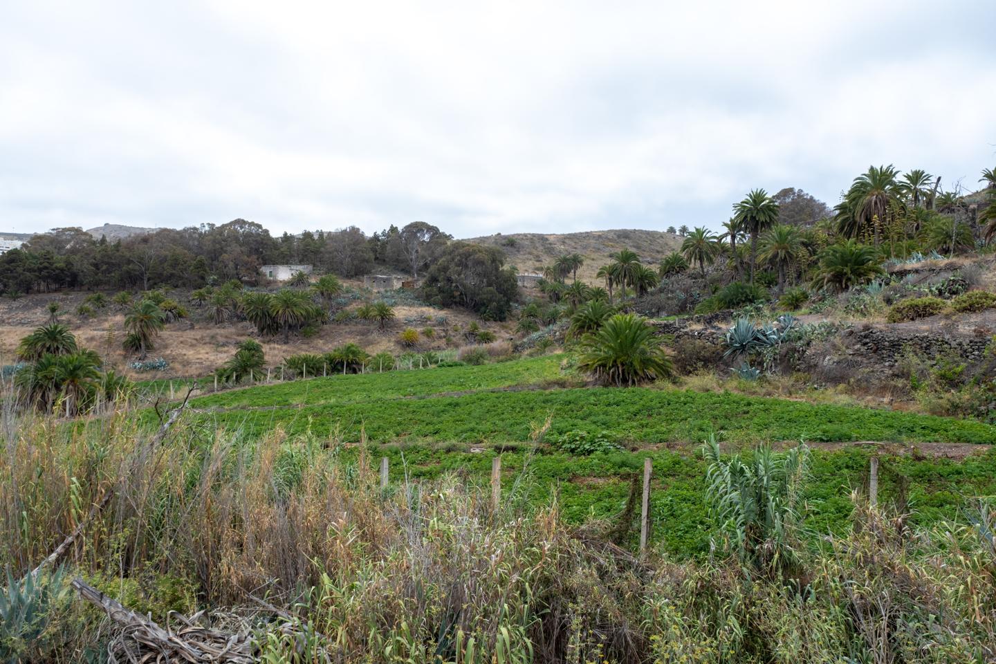 Terreno en Calle el Jardinero, Toscón Alto, Las Palmas de 390 m2
