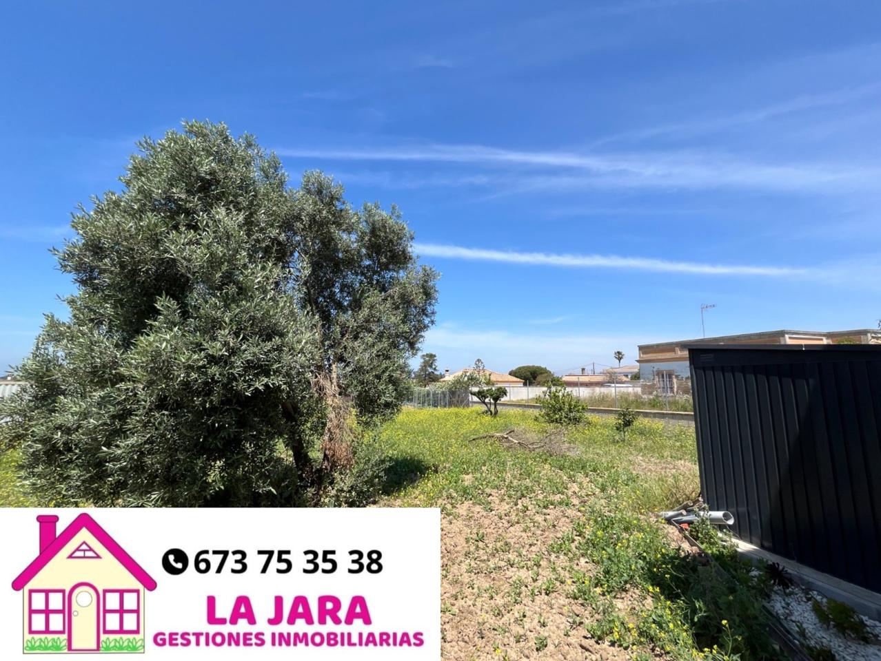 Terreno en venta en Cádiz