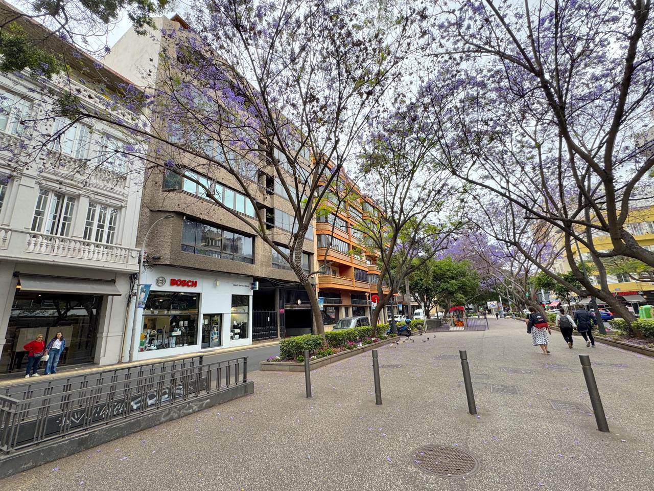 Piso en Avenida de la Asunción, Santa Cruz de Tenerife, Santa Cruz de Tenerife de 193 m2
