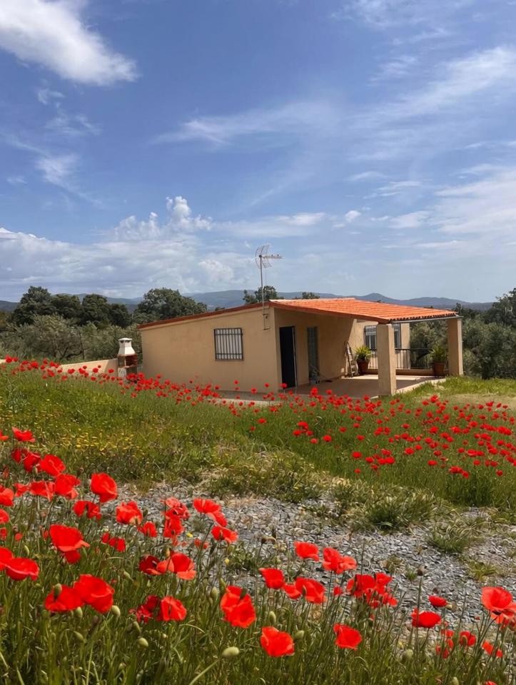 Casa / chalet en Malpartida de Plasencia, Cáceres de 71 m2