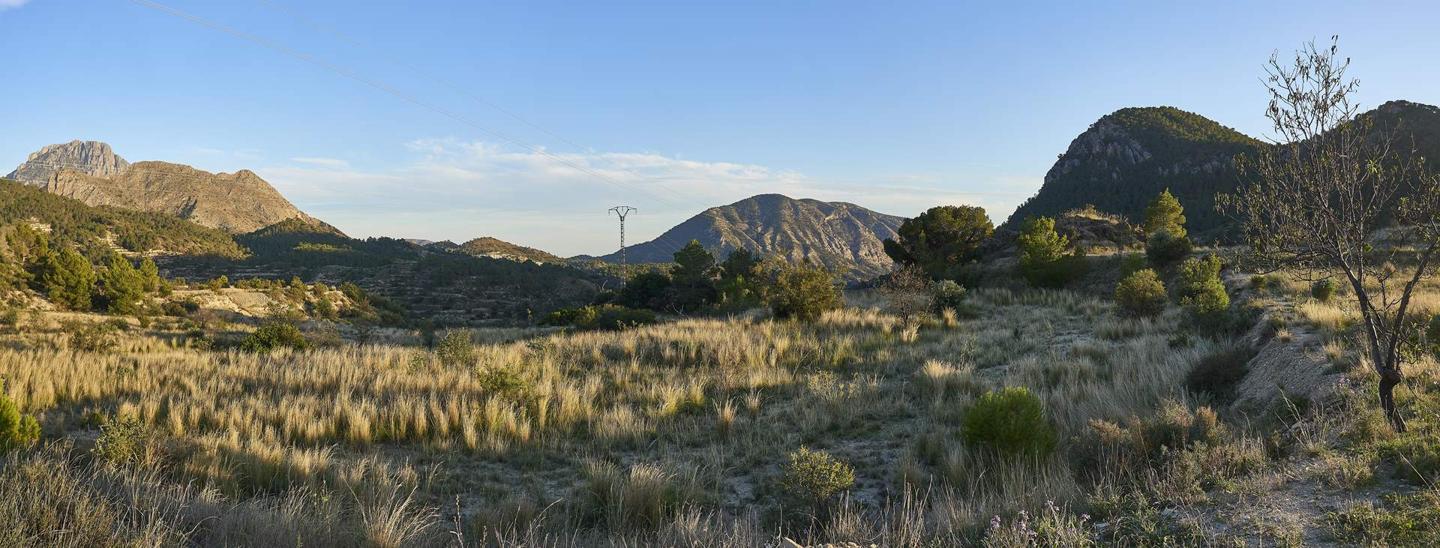 Land in Partida Almusent de Baix 15, Sella, Alicante of 15500 m2
