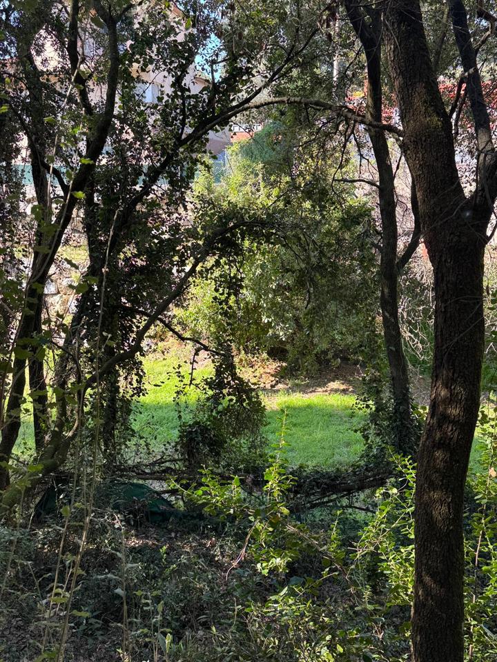 terrenos en barcelona · carrer-de-lluis-millet-08445 67500€