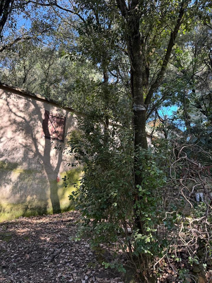 terrenos en barcelona · carrer-de-lluis-millet-08445 67500€