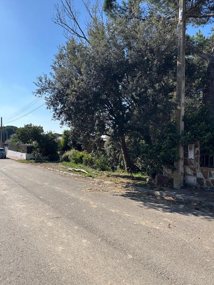 terrenos en barcelona · carrer-de-lluis-millet-08445 67500€