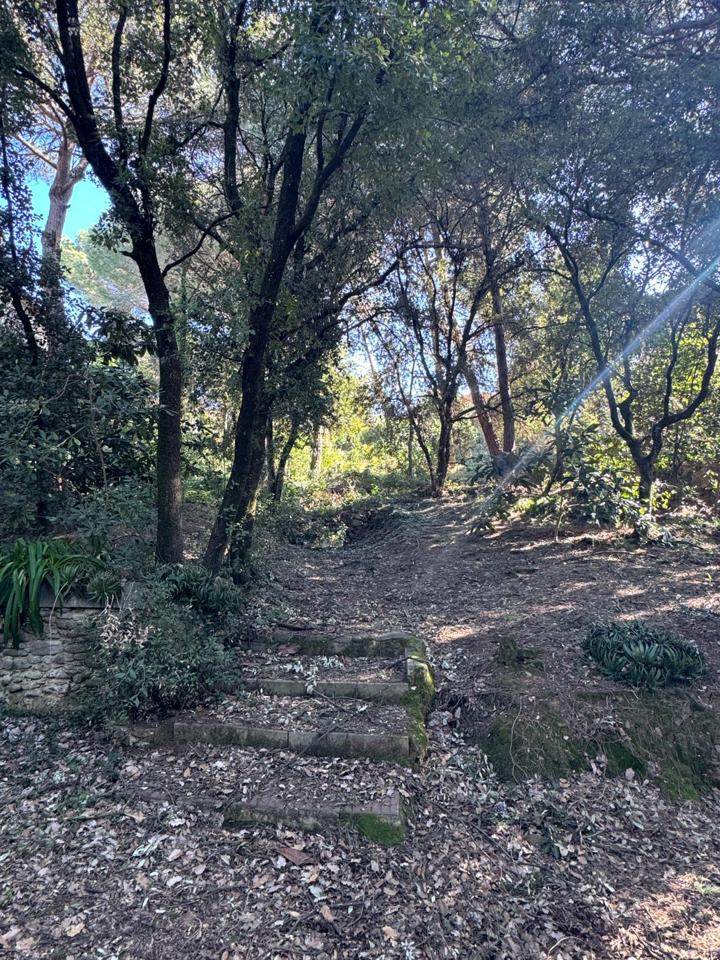 terrenos en barcelona · carrer-de-lluis-millet-08445 67500€