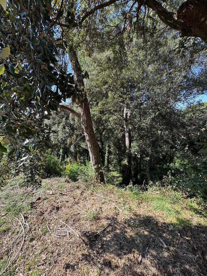 terrenos en barcelona · carrer-de-lluis-millet-08445 67500€