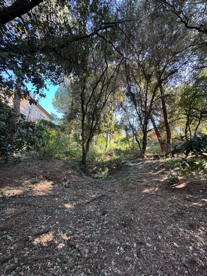 terrenos en barcelona · carrer-de-lluis-millet-08445 67500€