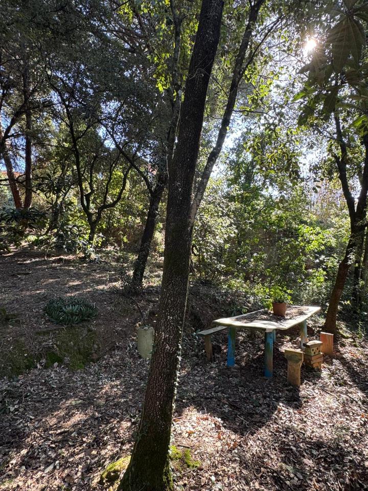 terrenos en barcelona · carrer-de-lluis-millet-08445 67500€