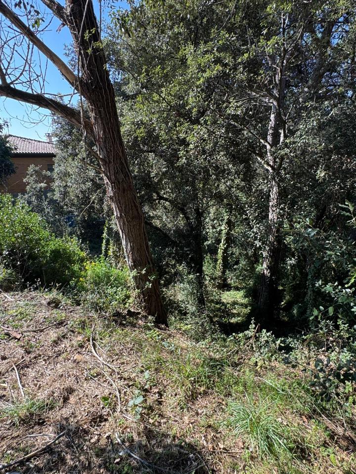 terrenos en barcelona · carrer-de-lluis-millet-08445 67500€