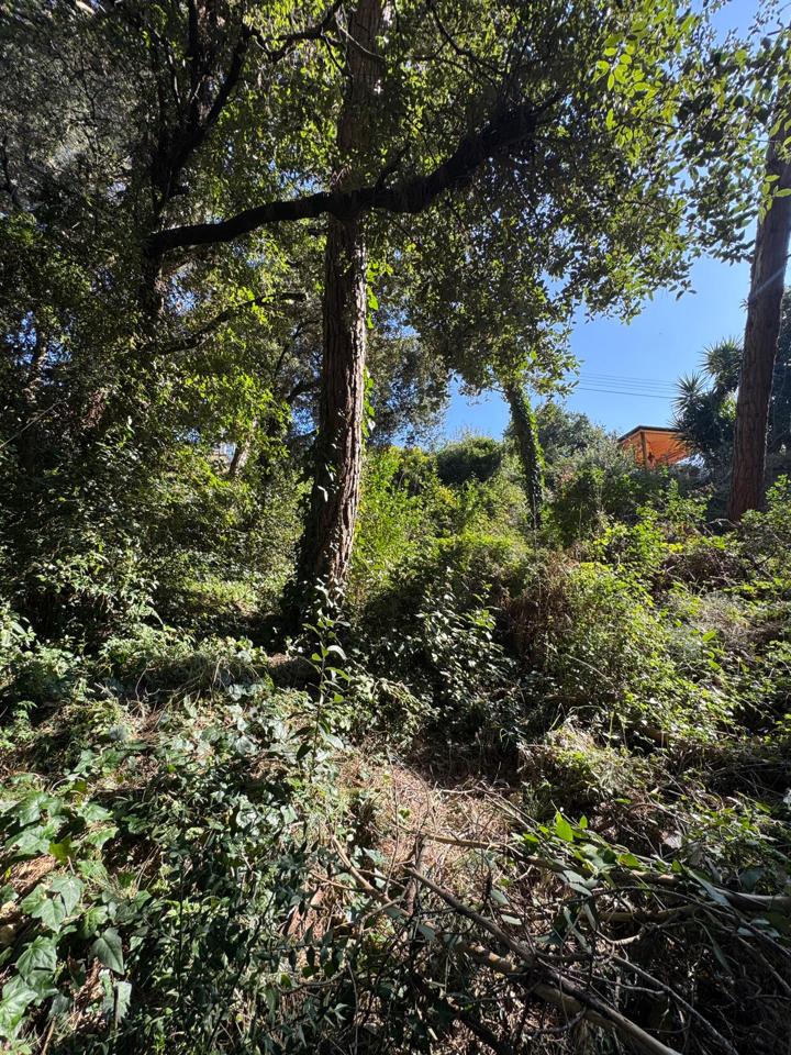 terrenos en barcelona · carrer-de-lluis-millet-08445 67500€