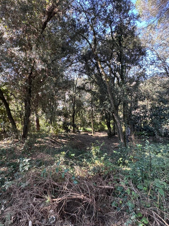 terrenos en barcelona · carrer-de-lluis-millet-08445 67500€