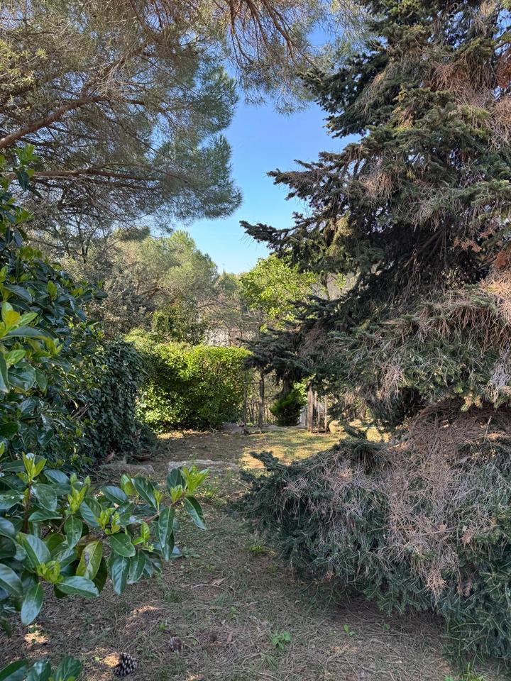 terrenos en barcelona · carrer-de-lluis-millet-08445 67500€
