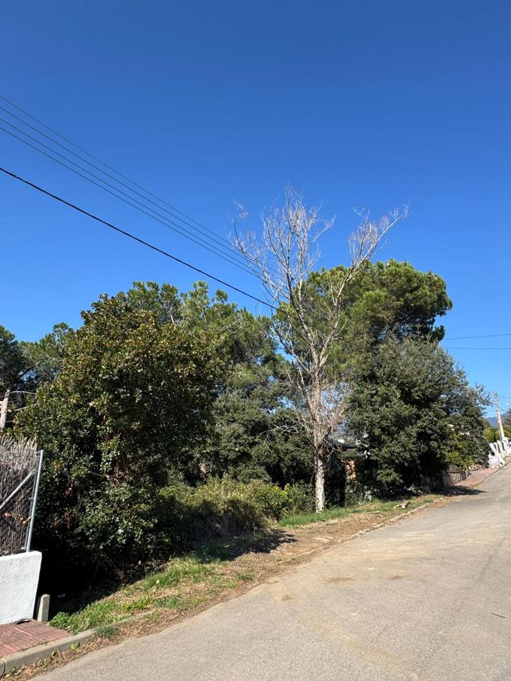 terrenos en barcelona · carrer-de-lluis-millet-08445 67500€