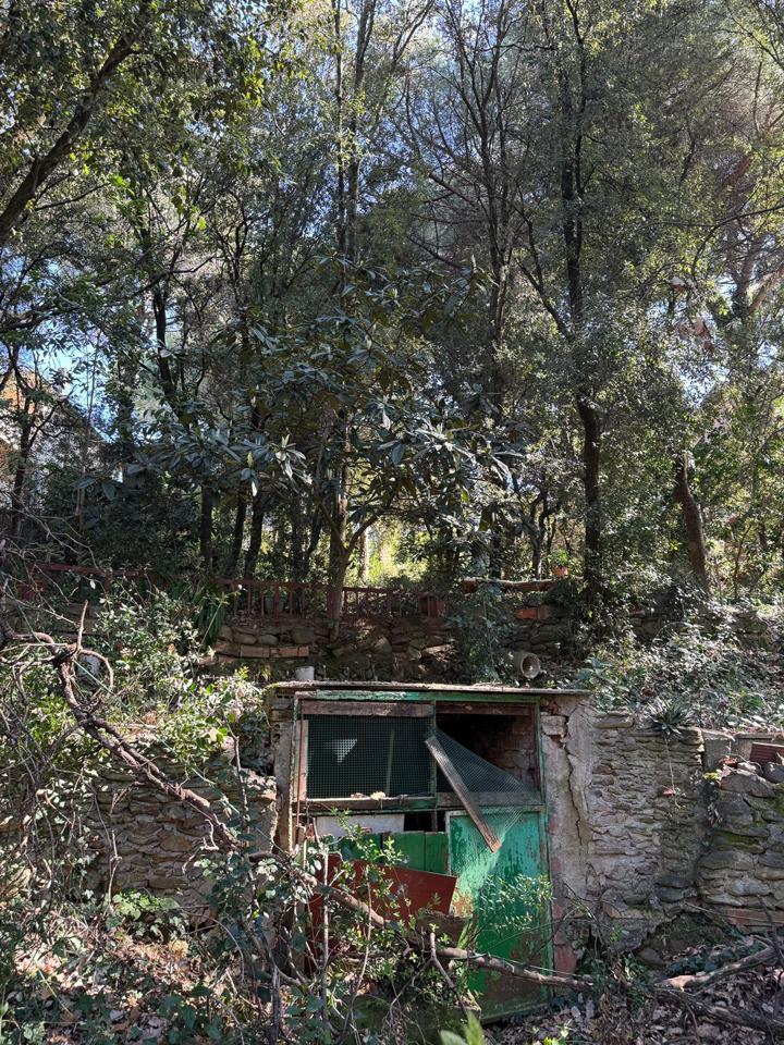 terrenos en barcelona · carrer-de-lluis-millet-08445 67500€