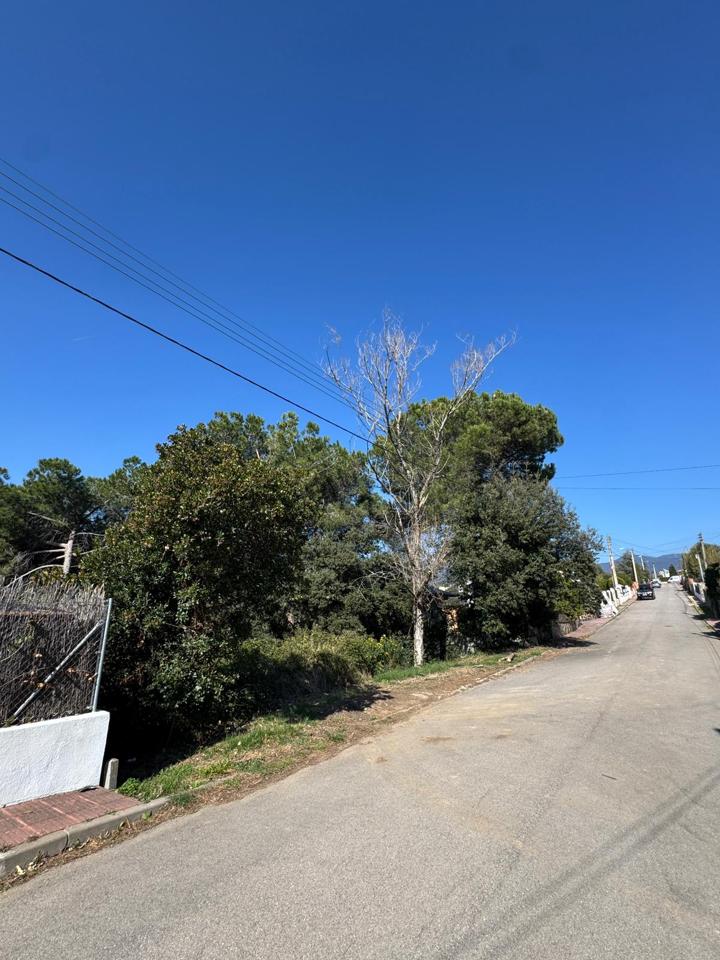 terrenos en barcelona · carrer-de-lluis-millet-08445 67500€