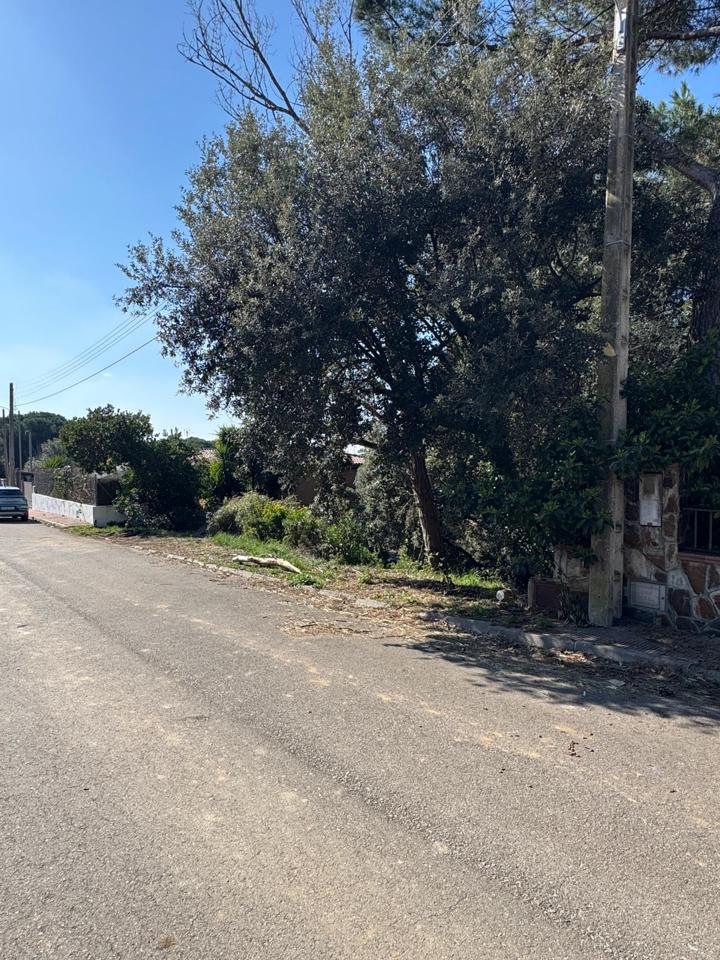 terrenos en barcelona · carrer-de-lluis-millet-08445 67500€