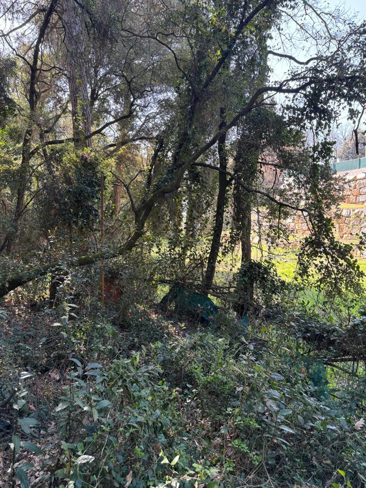 terrenos en barcelona · carrer-de-lluis-millet-08445 67500€