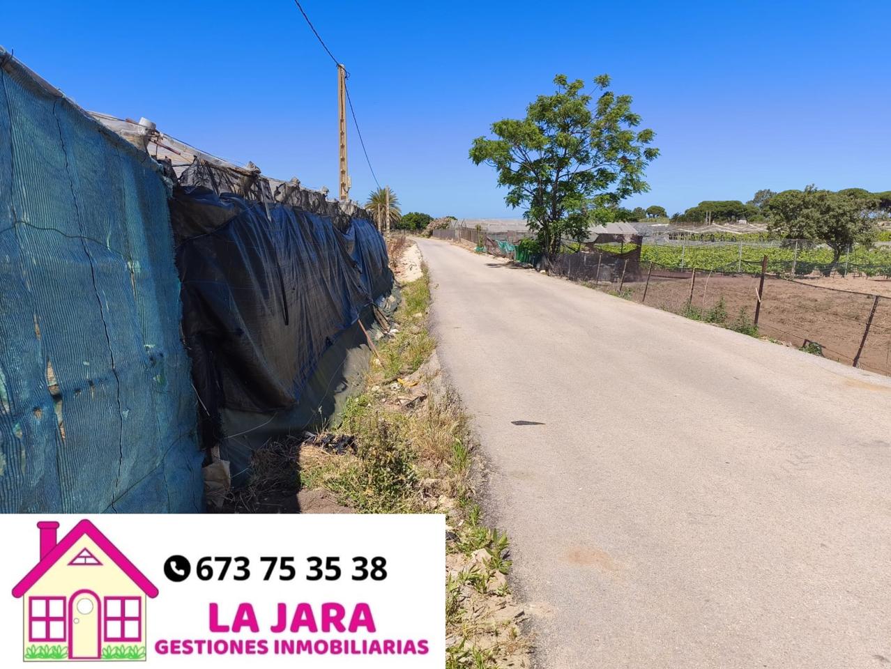Land in Hijuela de María, Chipiona, Cádiz of 5300 m2