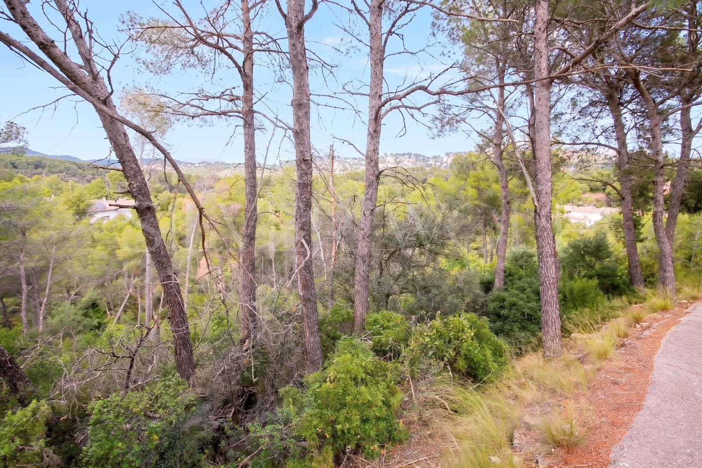Terreno en Carrer Vallès, Cervelló, Barcelona de 2972 m2