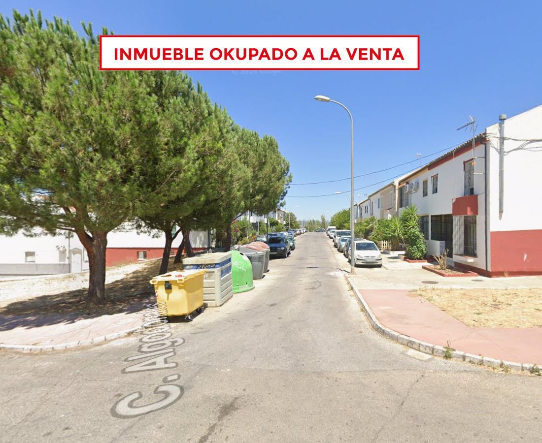 Galería 8
