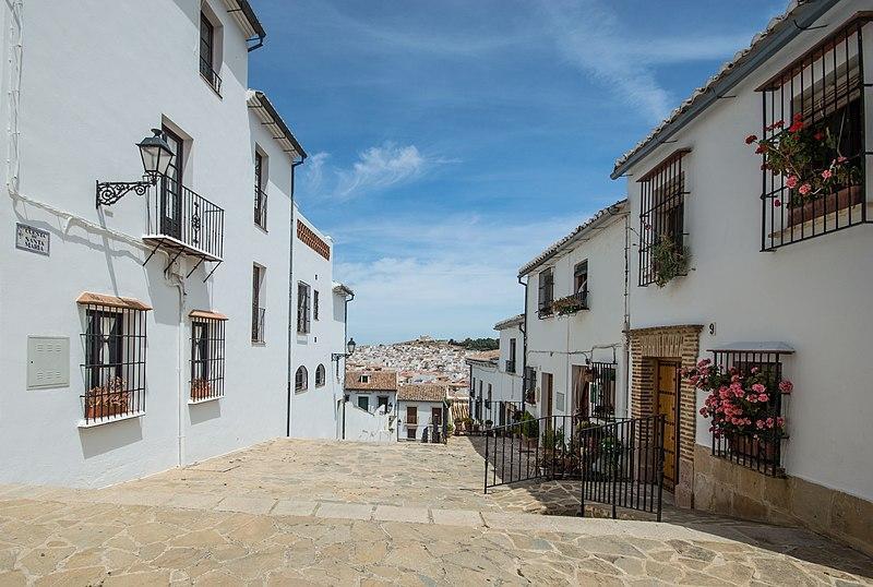 Galería 6