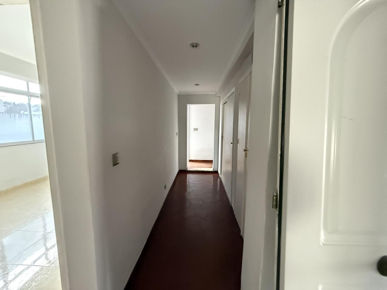 Galería 20