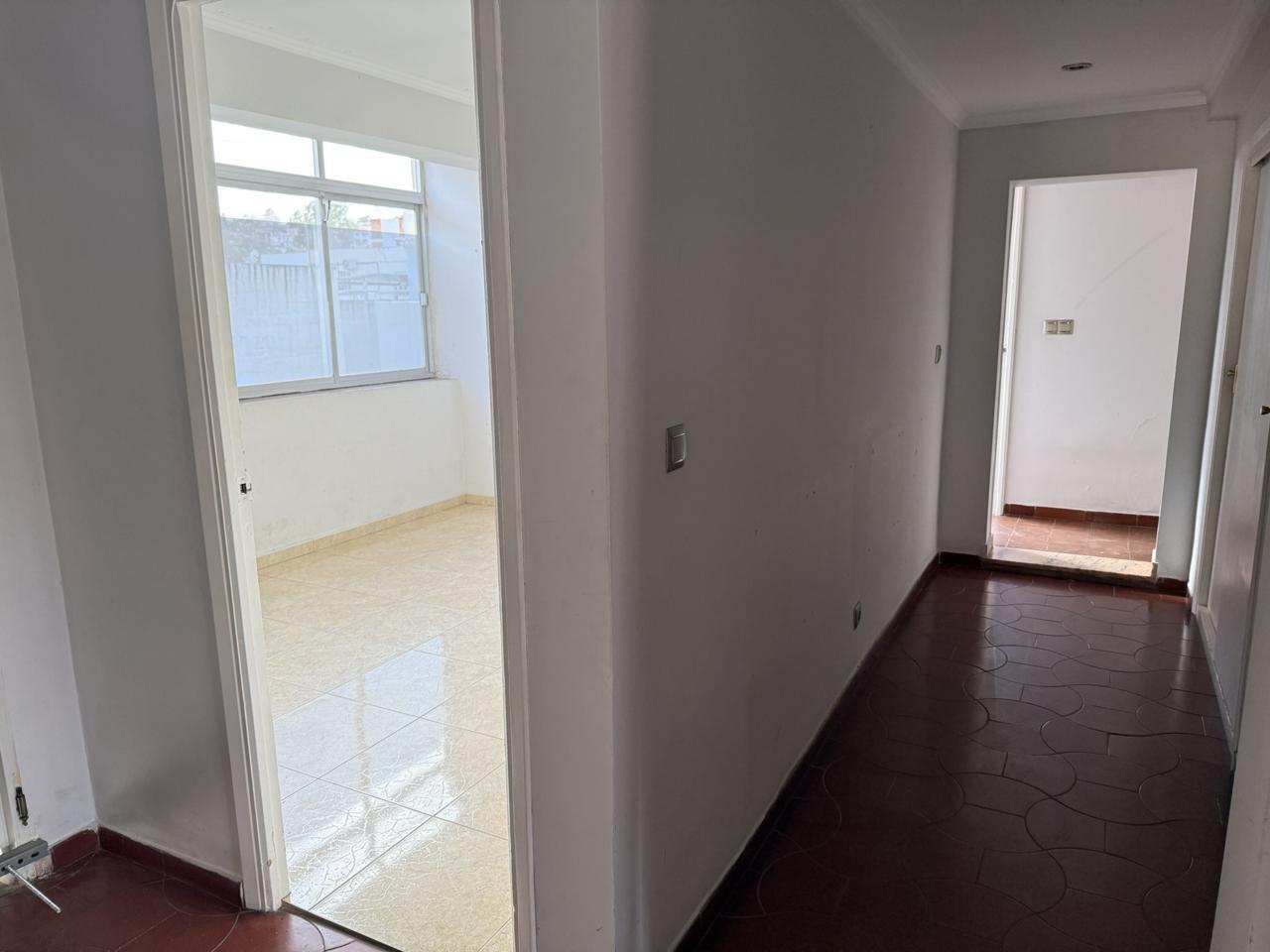 Galería 36