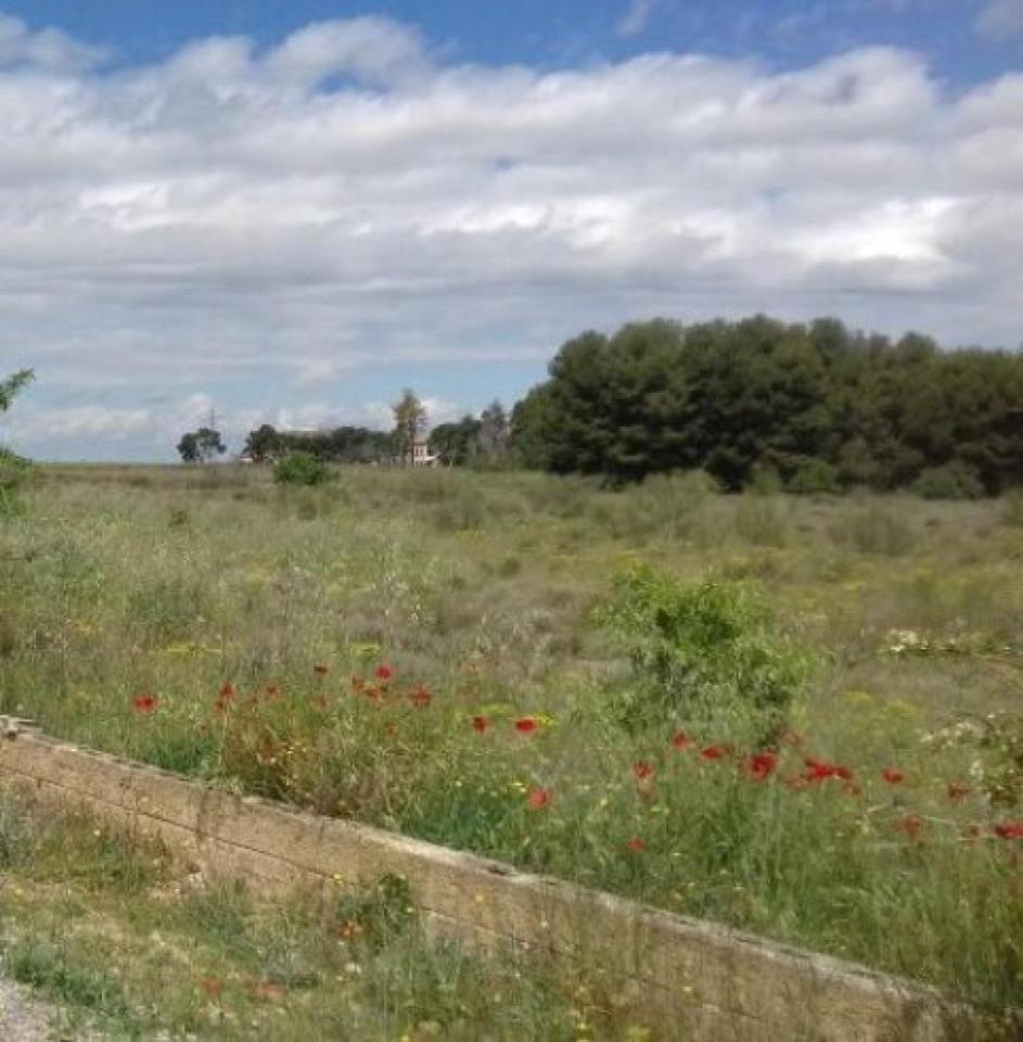 Terreno en Partida Cerdera Baixa, Lleida, Lleida de 1055 m2