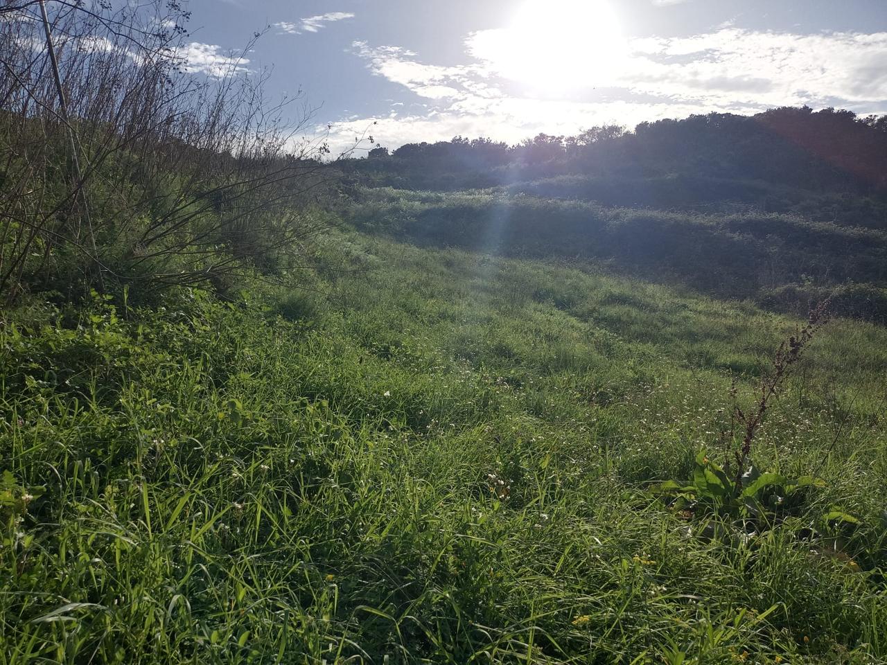 Terreno en venta en Santa Cruz de Tenerife