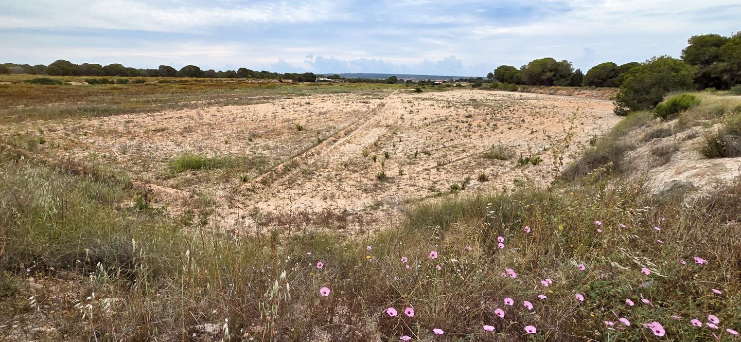 Terreno en venta en Alicante