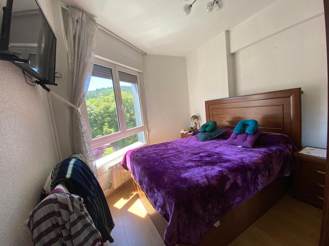 piso en zaldibar · bilbao-etorbidea-48250 142000€
