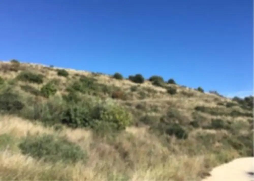 foto de TERRENO URBANIZABLE EN MIJAS, MÁLAGA