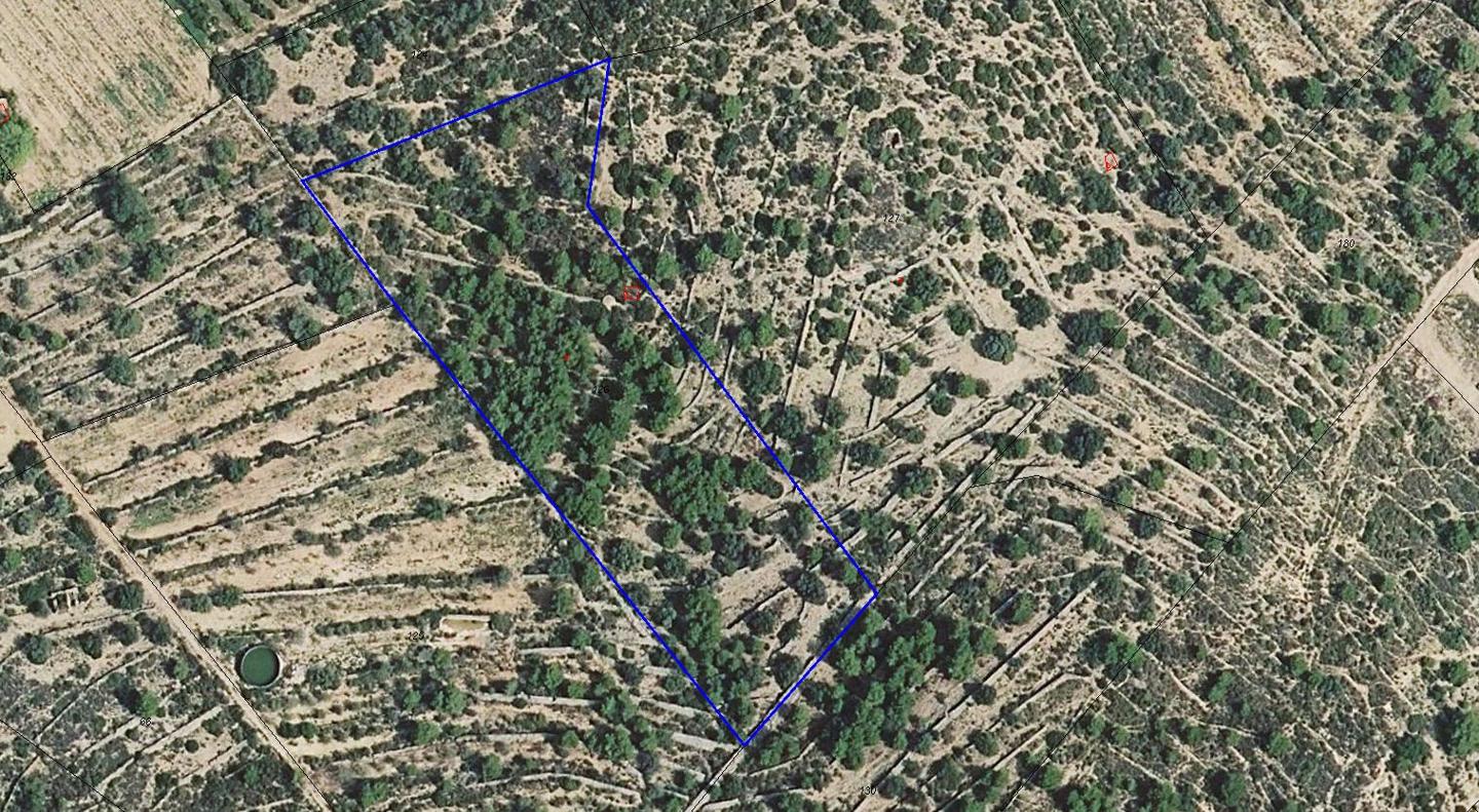 Terreno en Coll de'n Pique S/N, Ulldecona, tarragona de 7857 m2