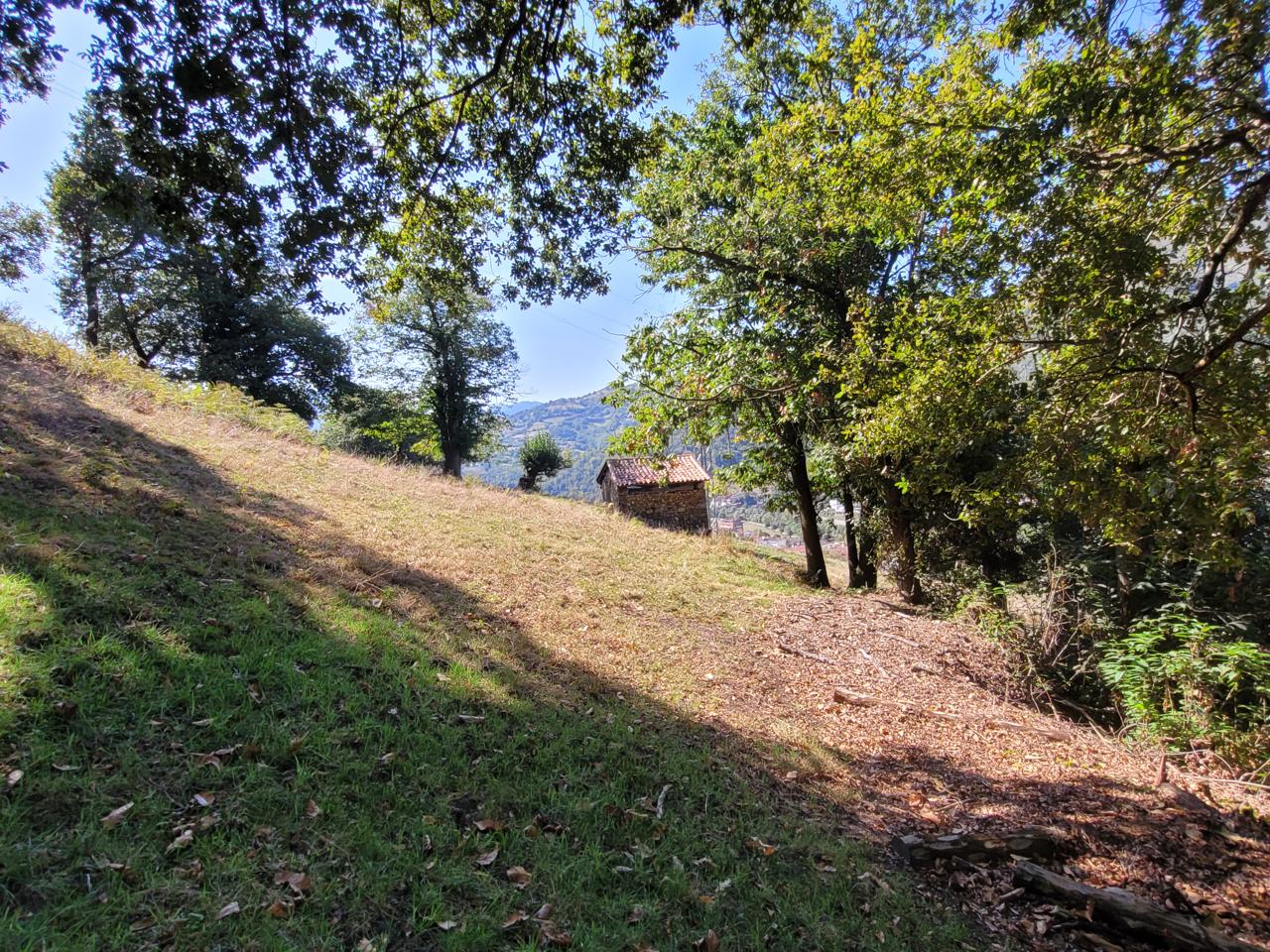Terreno en Barrio El Pindal 504, Pola de Laviana, Asturias de 11973 m2