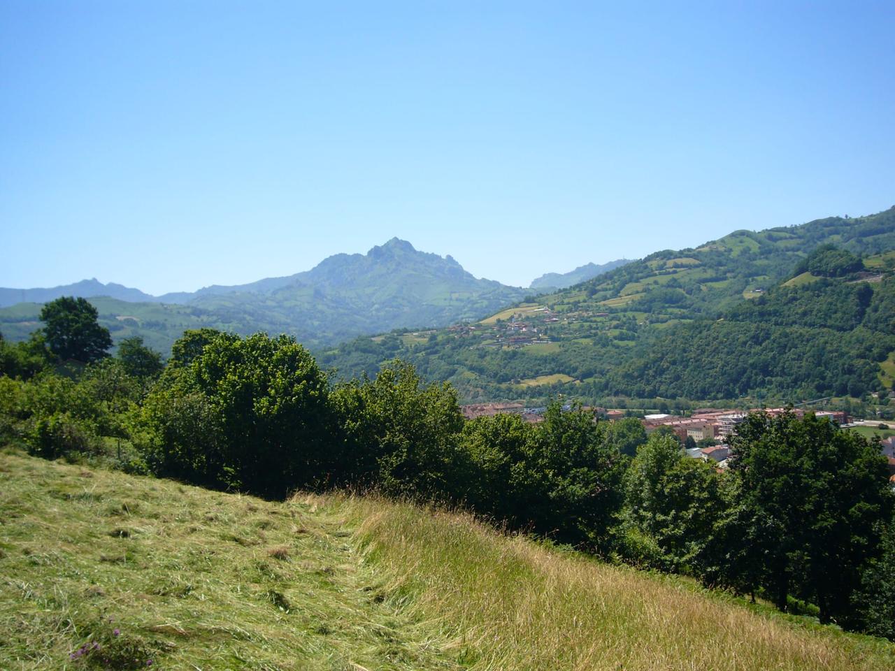 Terreno en Barrio El Pindal 504, Pola de Laviana, Asturias de 11973 m2