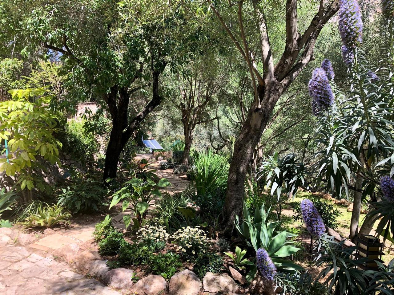 Finca rústica con carácter, vistas abiertas y piscina — Andratx — Foto 22