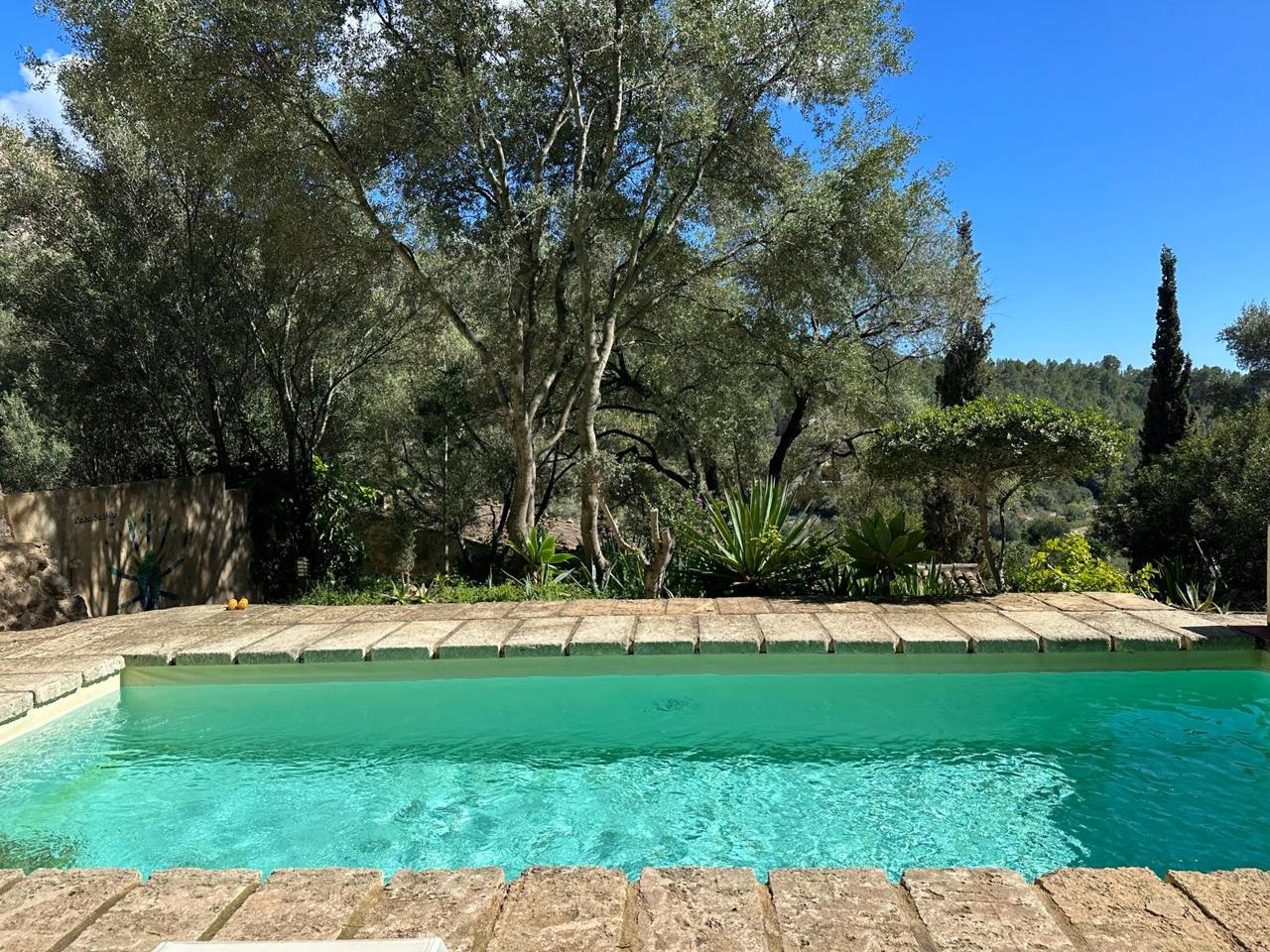 Finca rústica con carácter, vistas abiertas y piscina — Andratx — Foto 2