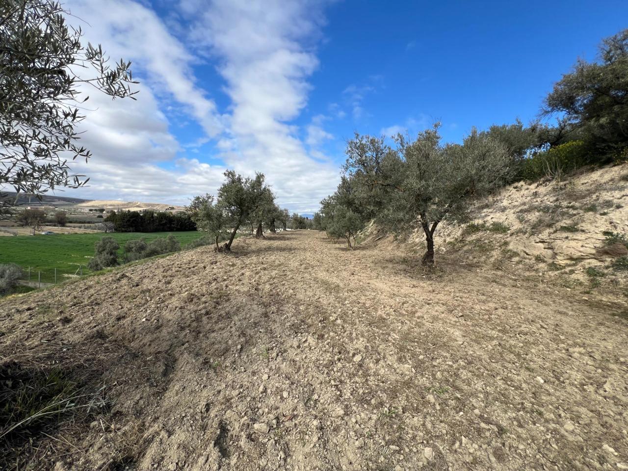 Terreno en venta en Jaén