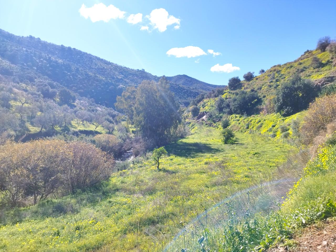 Terreno en venta en Málaga